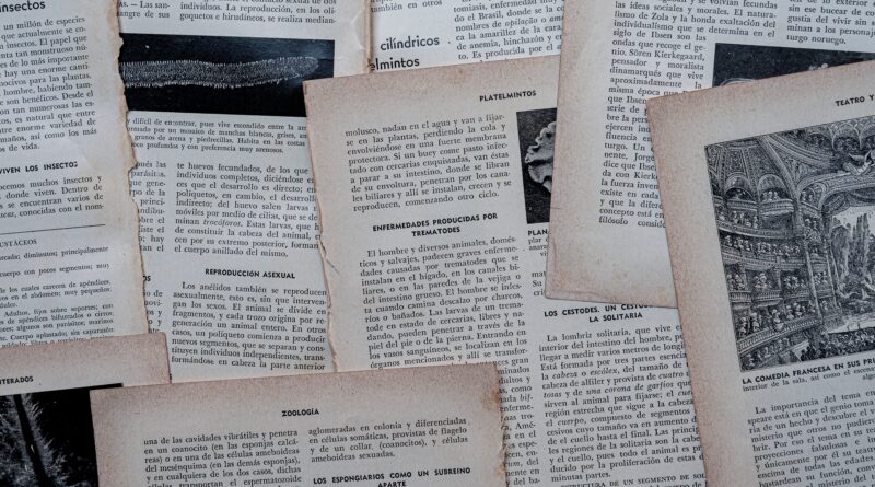 Old torn manuscript pages with historical illustrations, representing the mystery of the Voynich Manuscript