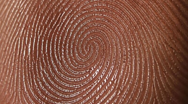 Fingerprint Close-Up